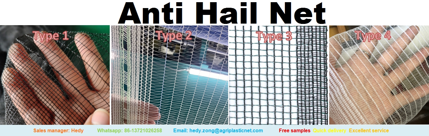 Anti hail net