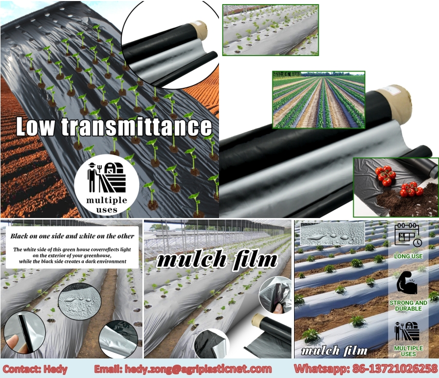 Mulch film