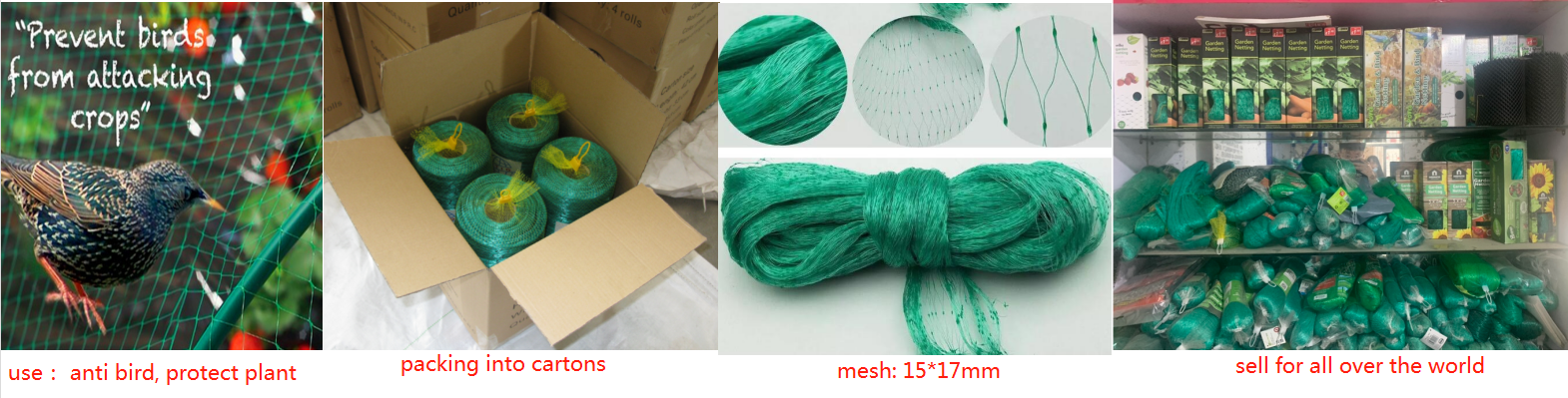 Extruded bird net protect fruits and vegetables